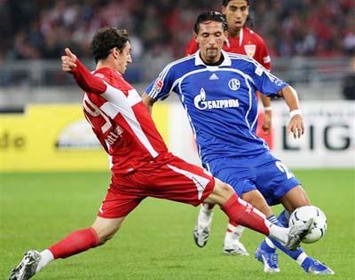 素质同样引 素质同样引